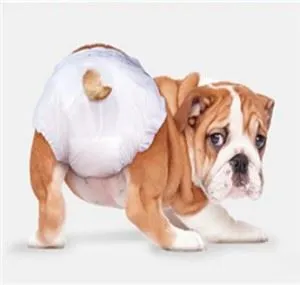 Lampin Anjing Penebal Super Sekali Pakai Buluh Boleh Terbiodegradasi