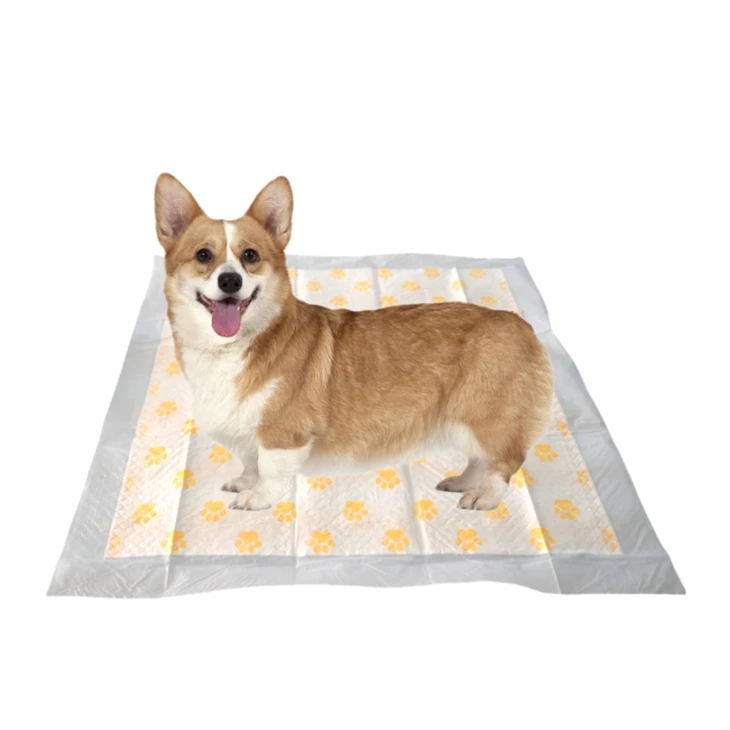Pad Puppy Ujian PH Pakai Pemantauan Kesihatan