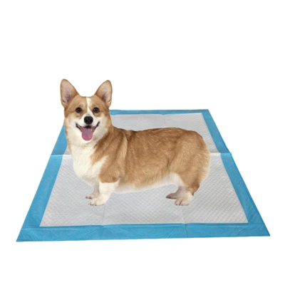 Pad Latihan Puppy Pakai Kawalan Antibakteria Kawalan Bau