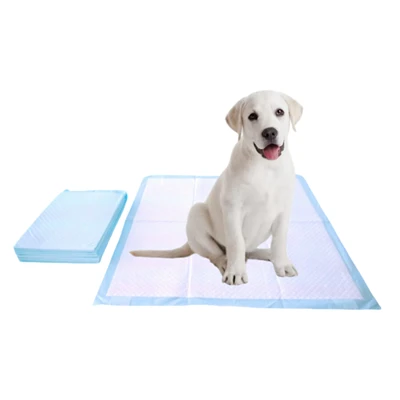 Kunyah-Pad Latihan Tandas Pakai Pakai Tahan Untuk Anjing