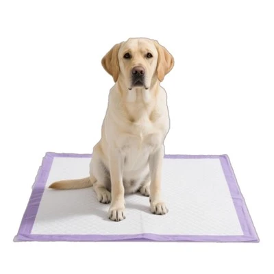 Pad Pee Anjing Pakaian dengan Minyak Essential Lavender