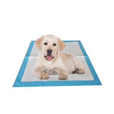Pad Latihan Tandas Pakai Pakai Mampat Vakum Untuk Anjing