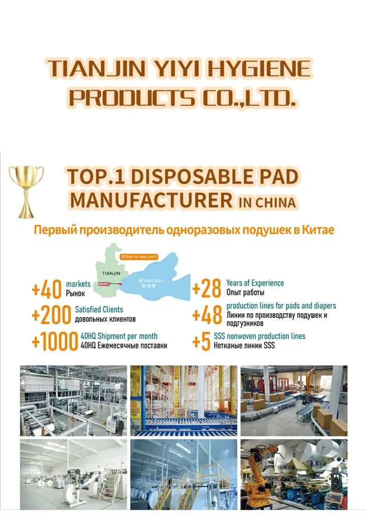 Tianjin Yiyi Disposable Carbon Dog Toilet Pad